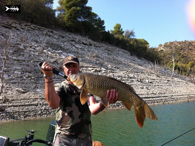 2011-10-07 Caspe 2011 082.jpg - Jolie carpe pour Douadouard